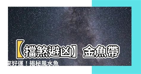 金魚擋煞|【擋煞金魚】屋企擋煞養金魚揀黑摩利 